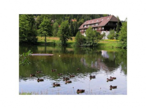 Comfortable holiday residence on the lake